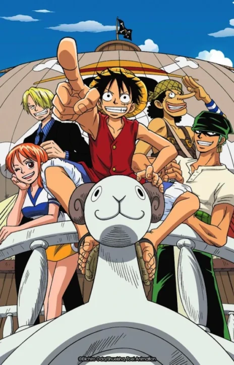 One Piece fr Cover Image